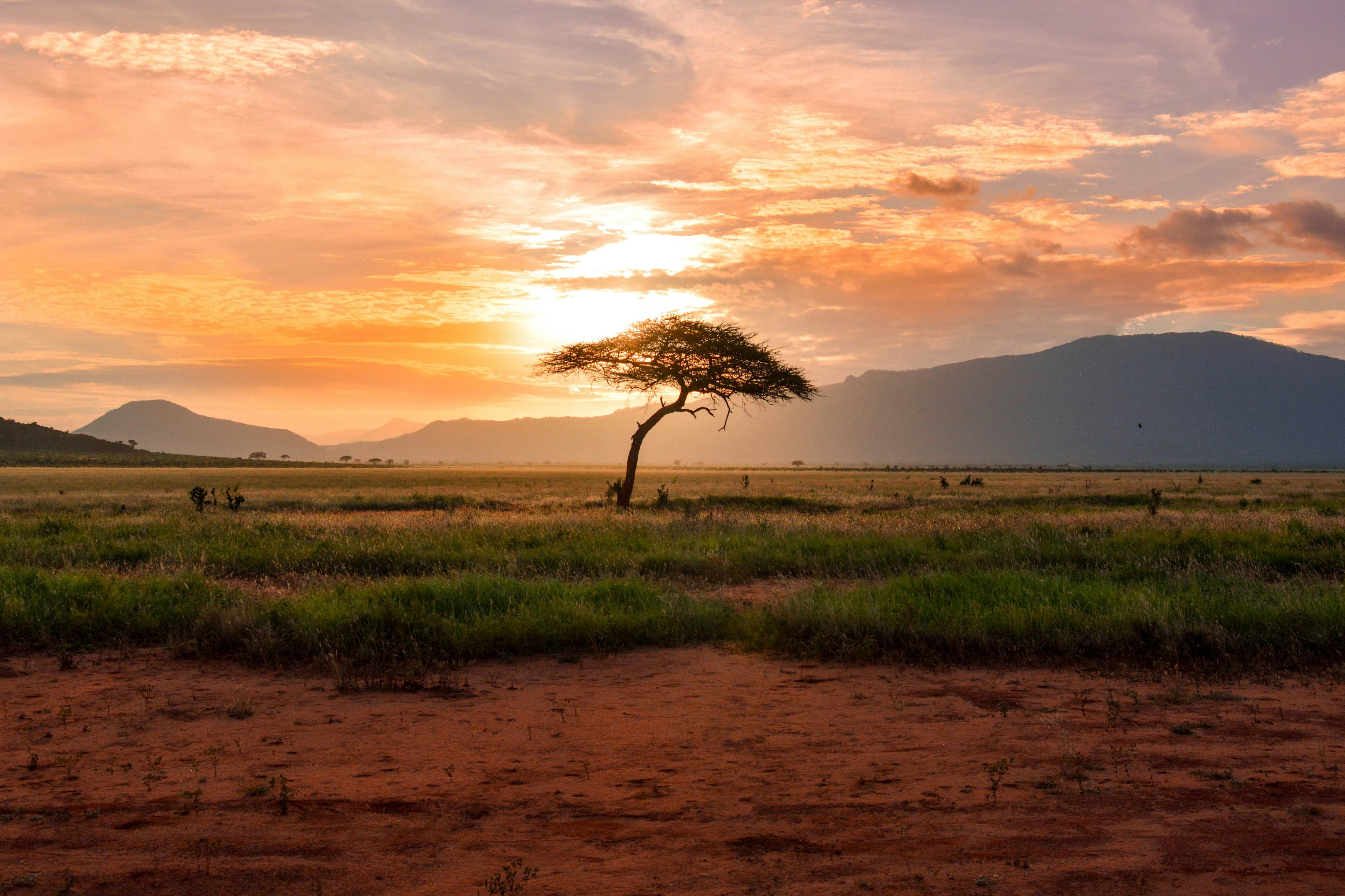 África